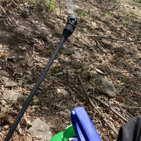  I nematodi utili per la lotta contro gli agenti del bacato